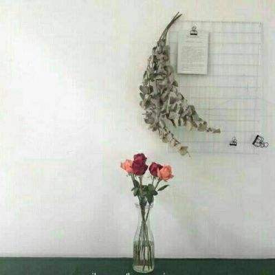 大话西游草花手游下载