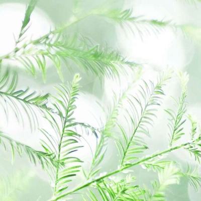 梦境彼岸勇者大暴走破解版下载
