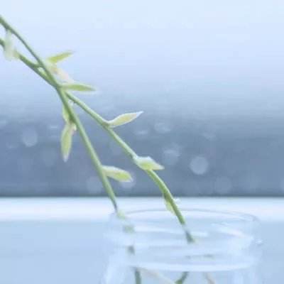 伐木模拟器汉化版下载